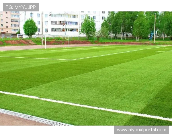 球场草皮问题引关注 多场赛事因场地条件延期